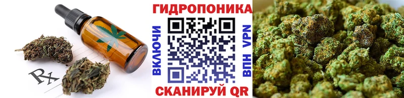 Cannafood конопля  mega зеркало  Томск 