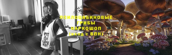 ешки Верея