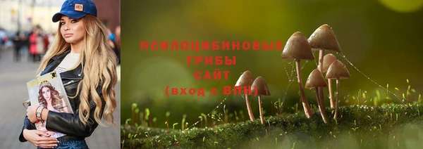 ешки Верея