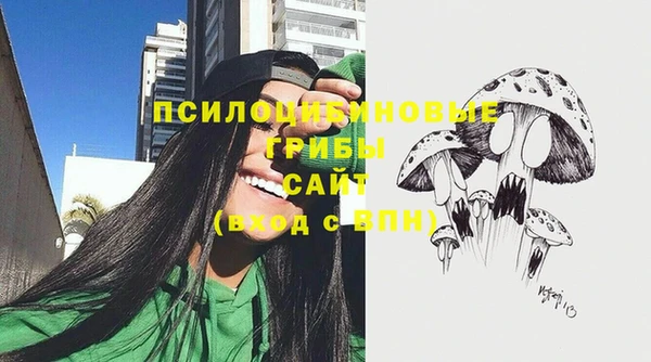 ешки Верея